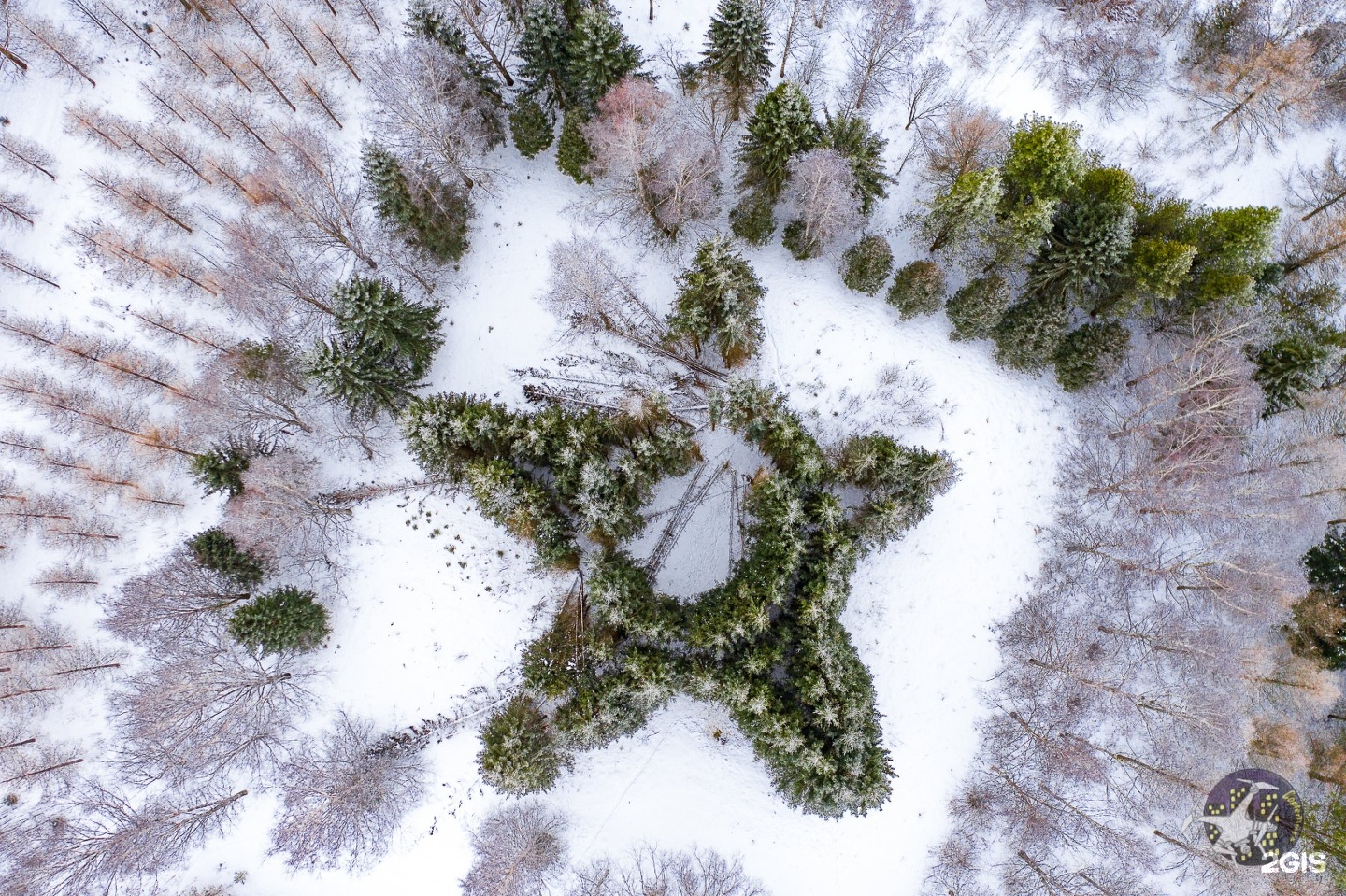 Дендропарк кострома фото