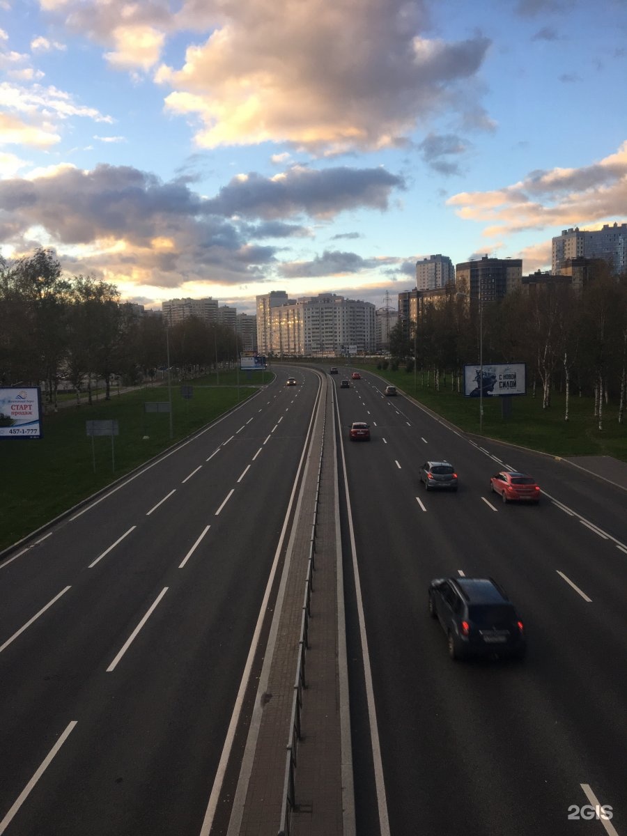 Шоссе петербург. Приморское шоссе СПБ. Санкт-Петербург Пятигорское шоссе. Ул Ботаническая от шоссе Санкт-Петербург. Приморское шоссе в 1980.