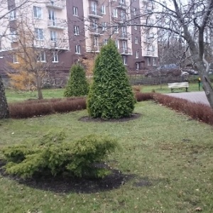 Фото от владельца Янтарный берег, санаторий