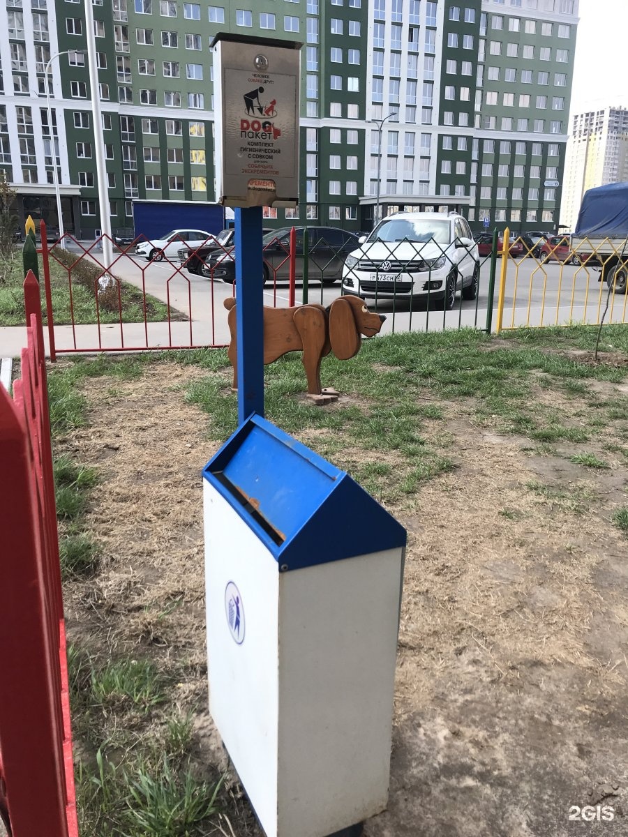 Собаки рязань. Место для выгула собак. Площадка для собак в Рязани. Площадка для выгула собак Рязань. Выгул собак Рязань.