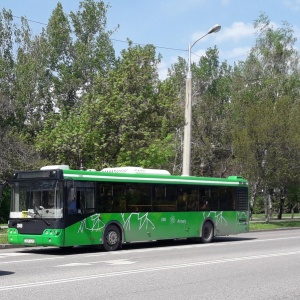 Остановки 103 автобуса. Арапотный МАЗ 71 автобус. Автобус 103к Самара. Петергоф находится на островке автобуса 103 ОСТ.