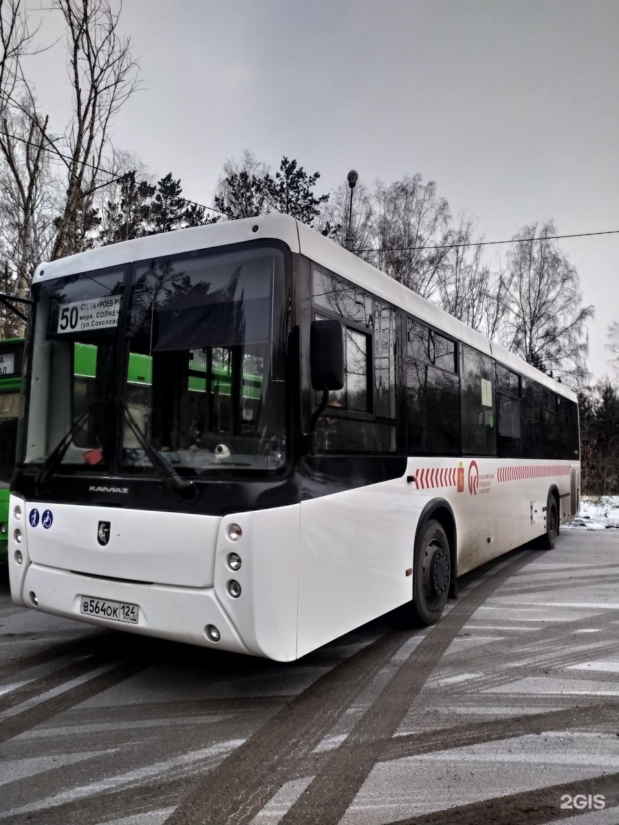Автобус 50 б. Автобус 50. Красноярск автобус 50 МАЗ. Автобус 50 Новосибирск. Маршрут 50 автобуса Красноярск.