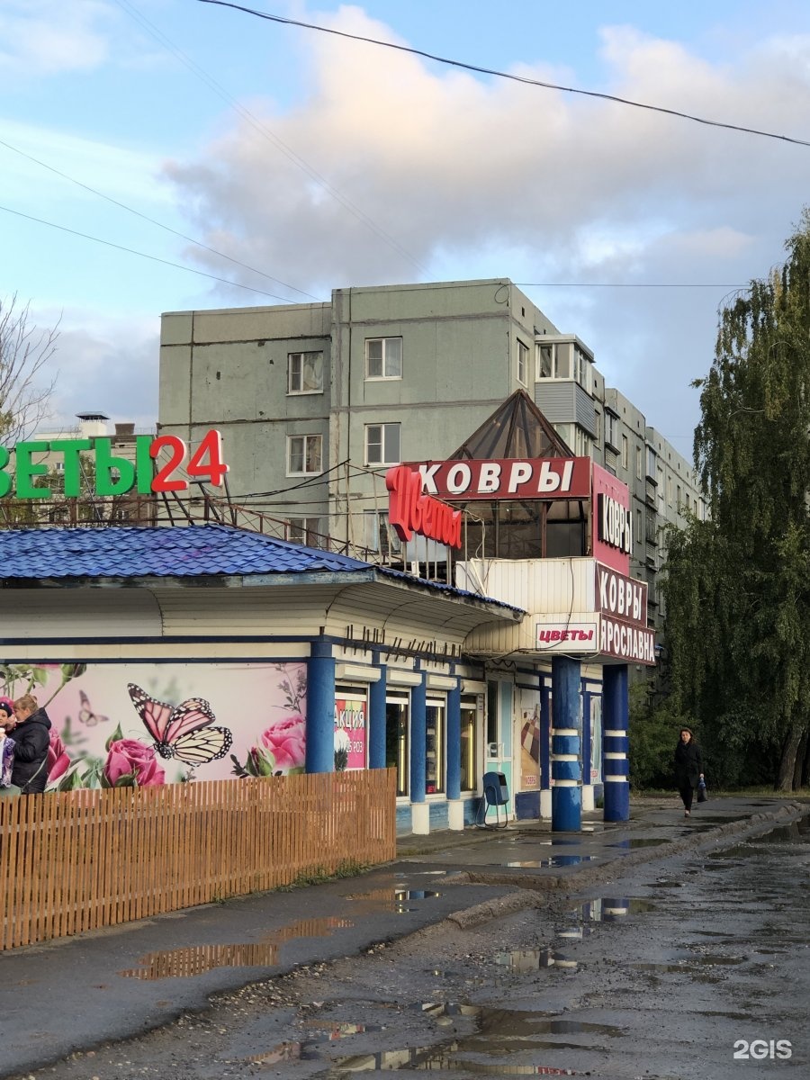 Три а вологда
