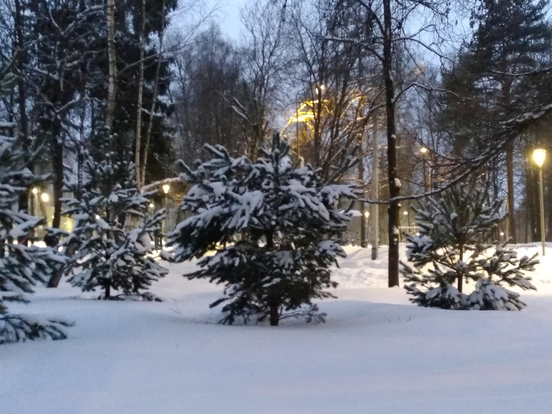 Поликлиника, Щербинская городская больница, Первомайская улица, 10 ст1,  Щербинка — 2ГИС