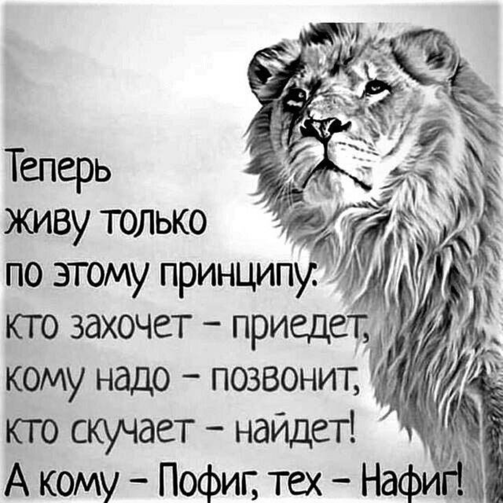 Теперь живу только по этому принципу: кто захоче. Живу по принципу кому надо позвонят. Живу по принципу кому надо позвонят. Теперь живу по принципу кому надо позвонит кто скучает найдет. Теперь живу только по этому принципу.