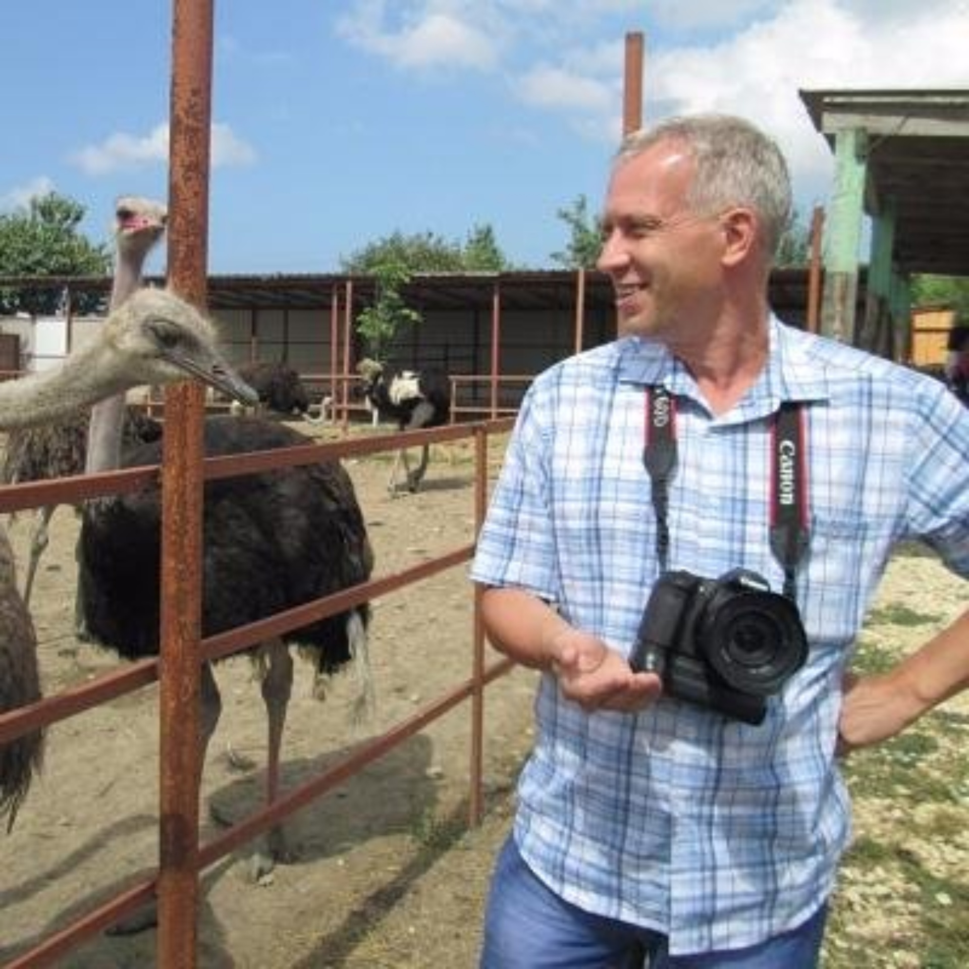 Научный центр дерматовенерологии и косметологии, Нижегородский филиал,  Ковалихинская, 49г, Нижний Новгород — 2ГИС