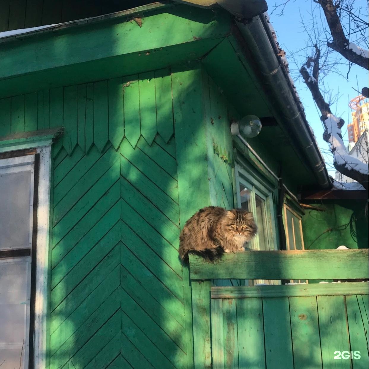 Побережье Амура, управляющая компания, улица Уссурийская, 8, Хабаровск —  2ГИС