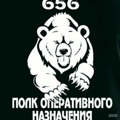 656 полк оперативного назначения