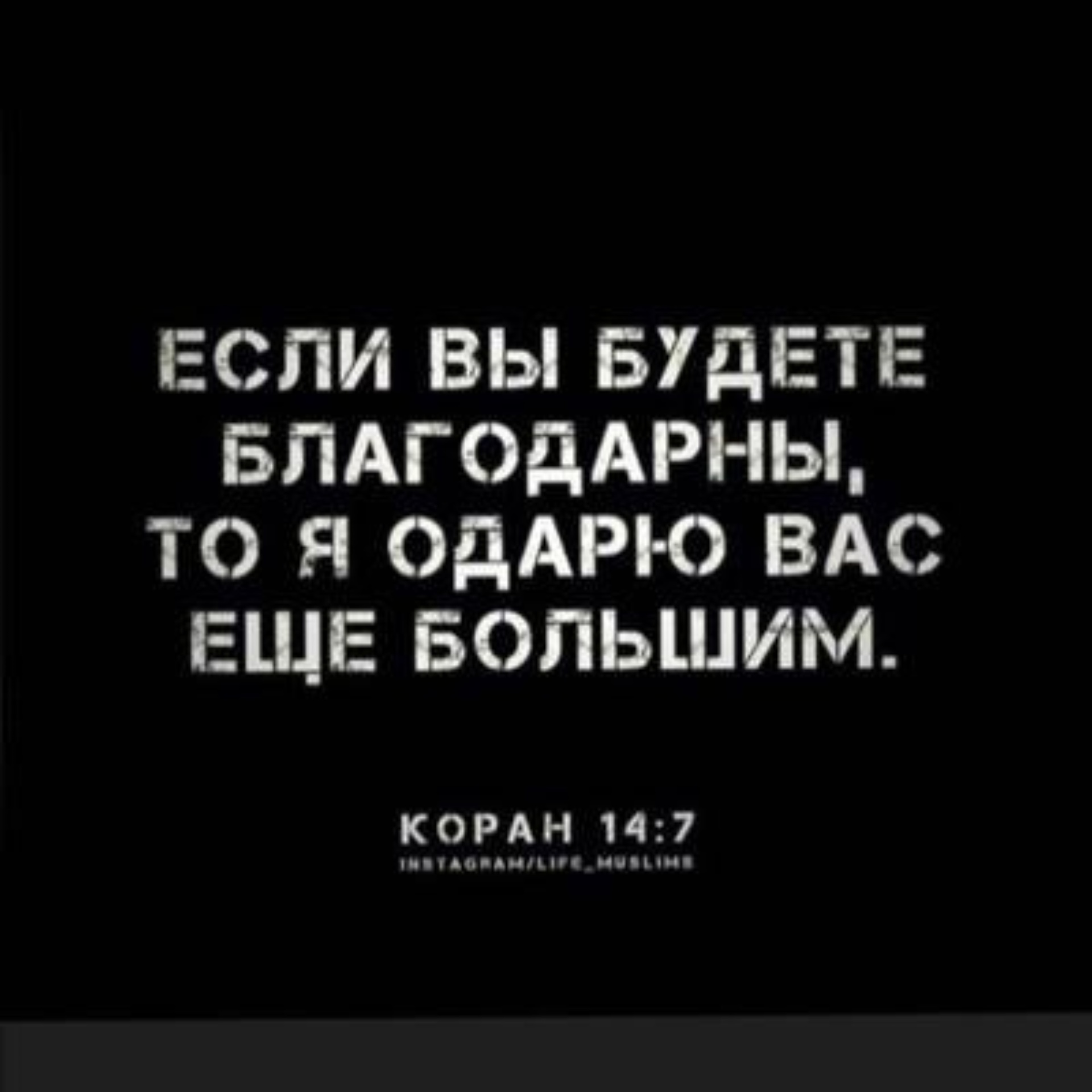 Вита плюс, медицинский центр, проспект Али-Гаджи Акушинского, 32Б,  Махачкала — 2ГИС