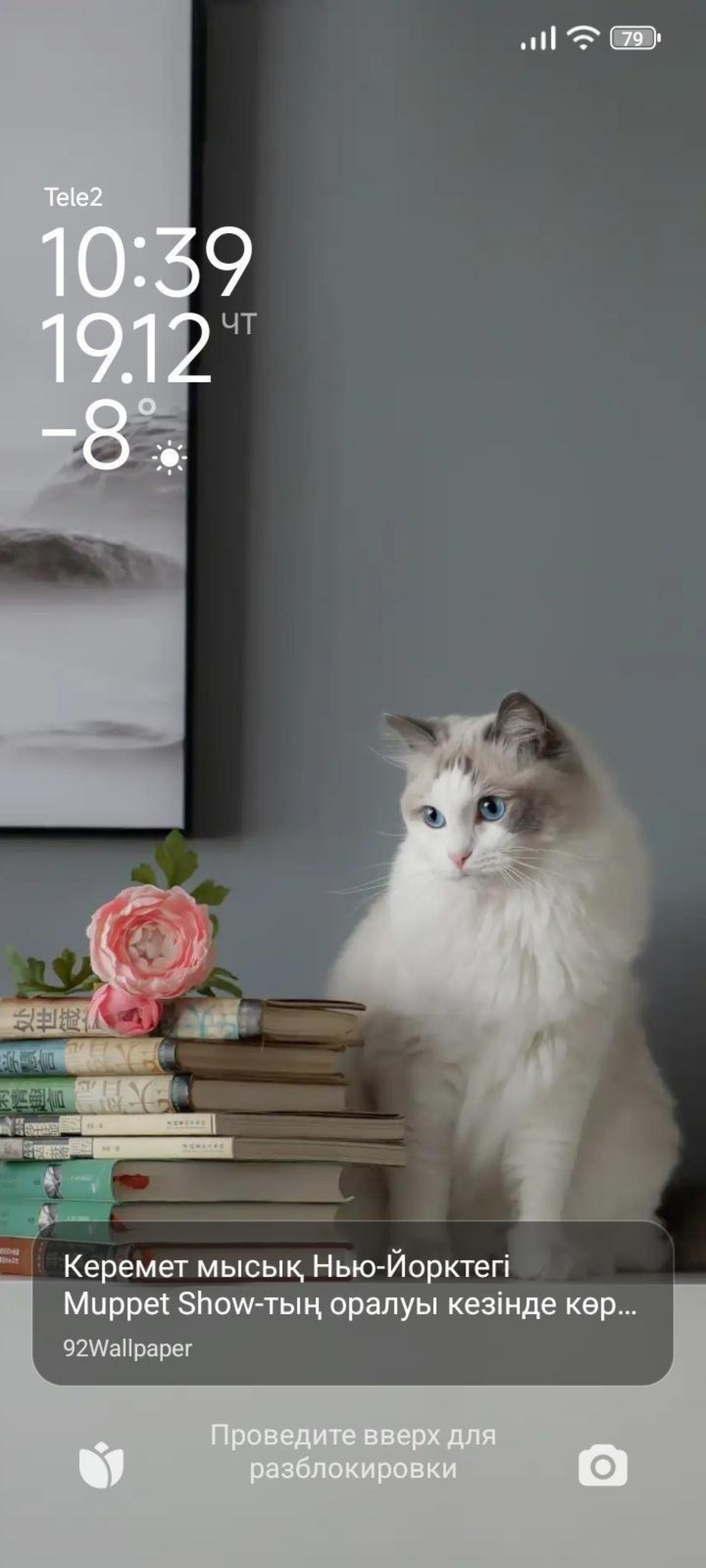 Үйдегі секс түкті Ересек, қисық әйелдер бейнеленген порно