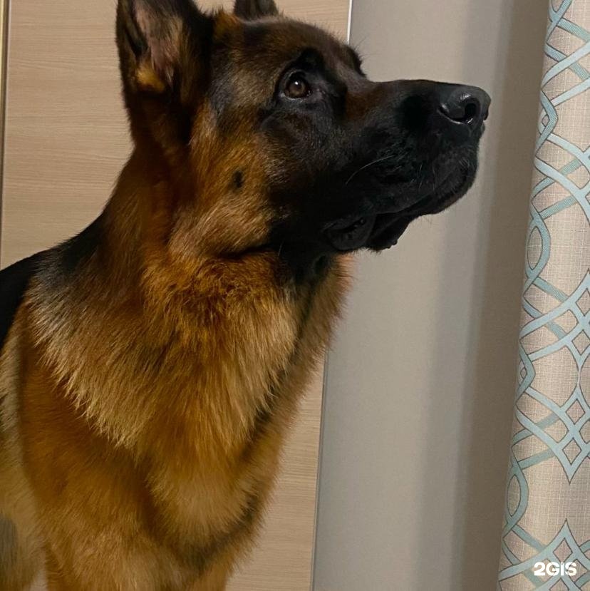 Автор отзыва Мария Панина