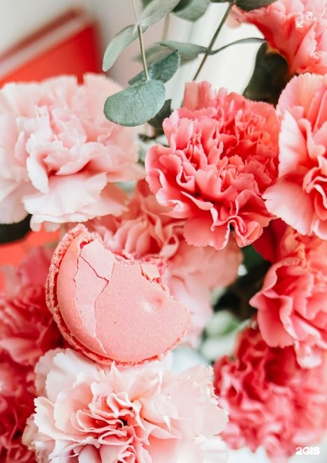 Инна Латышева