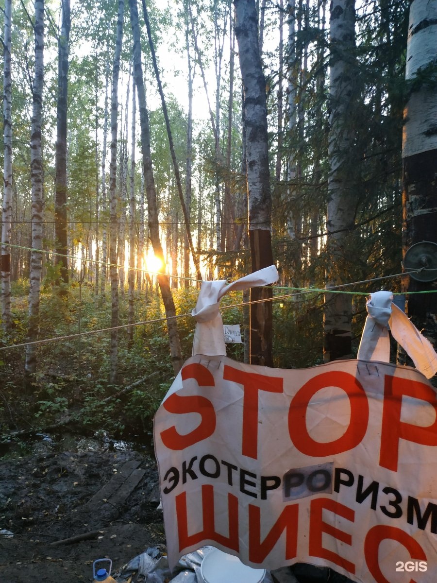 АльфаСтрахование, страховая компания, Кольский проспект, 13 к3, Мурманск —  2ГИС