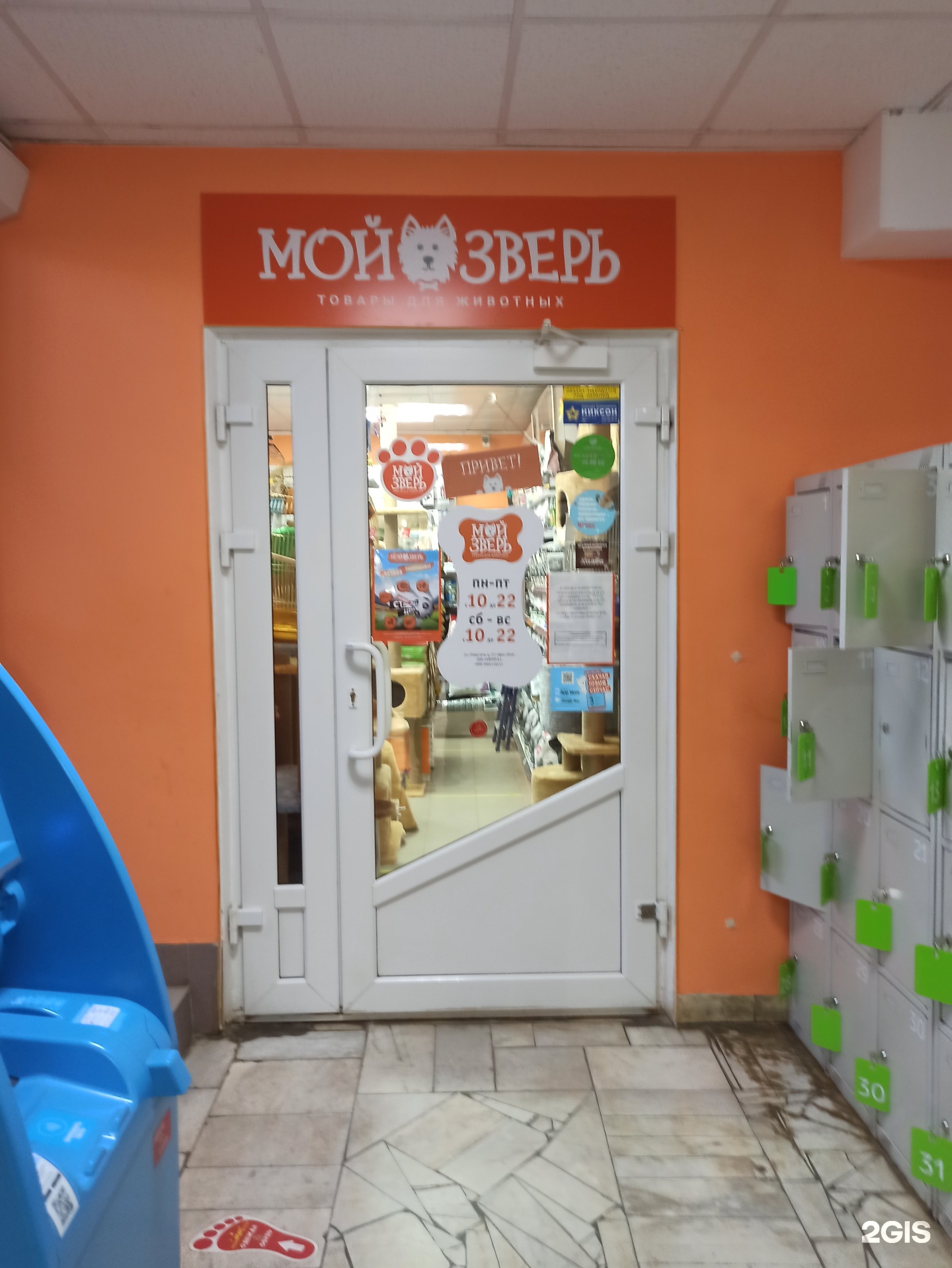 Зоомагазин в перми мой зверь. Мой зверь пермь. Мой зверь пермь интернет. Мой зверь пермь. Мой зверь пермь интернет.