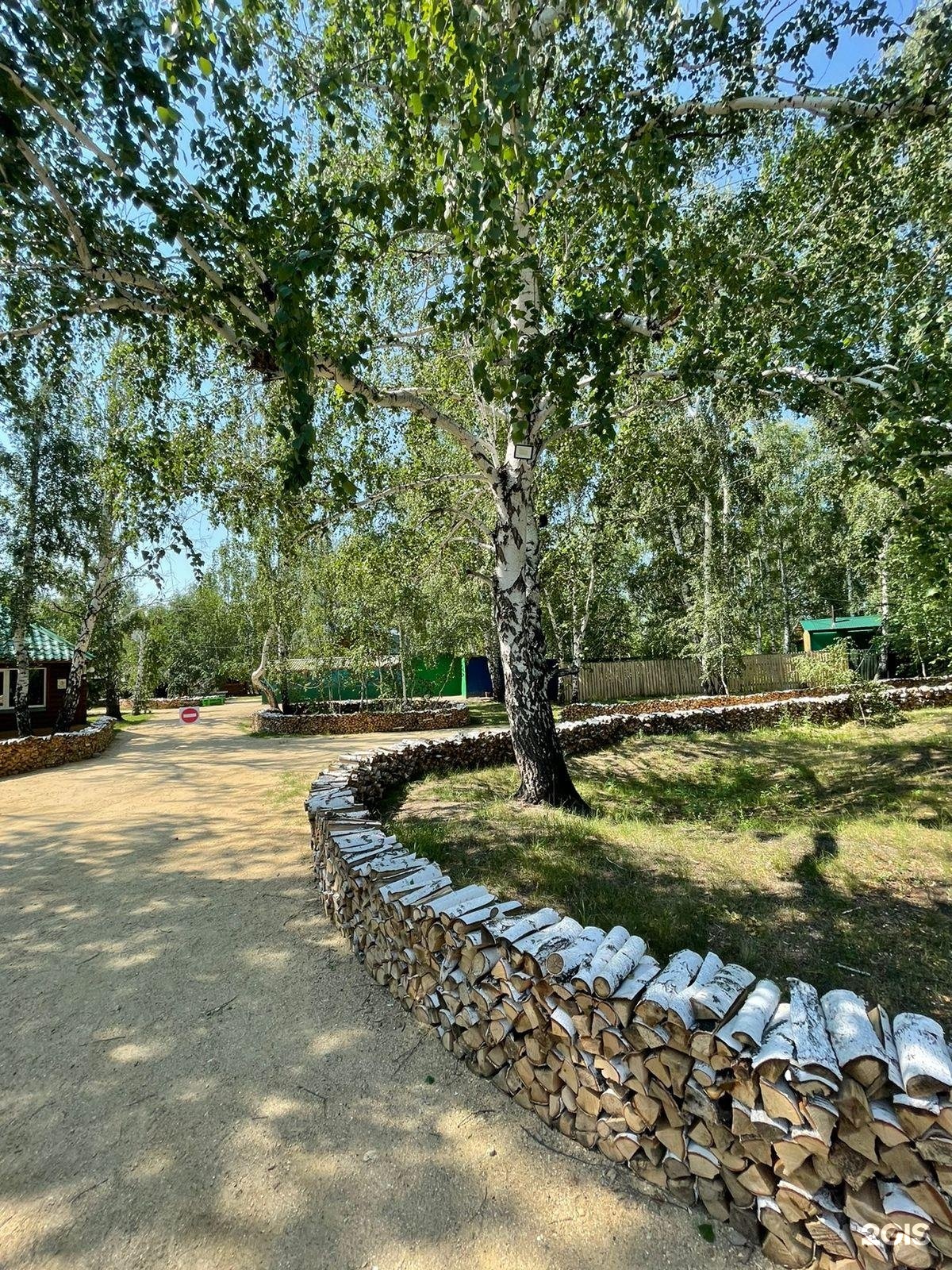Березовая роща