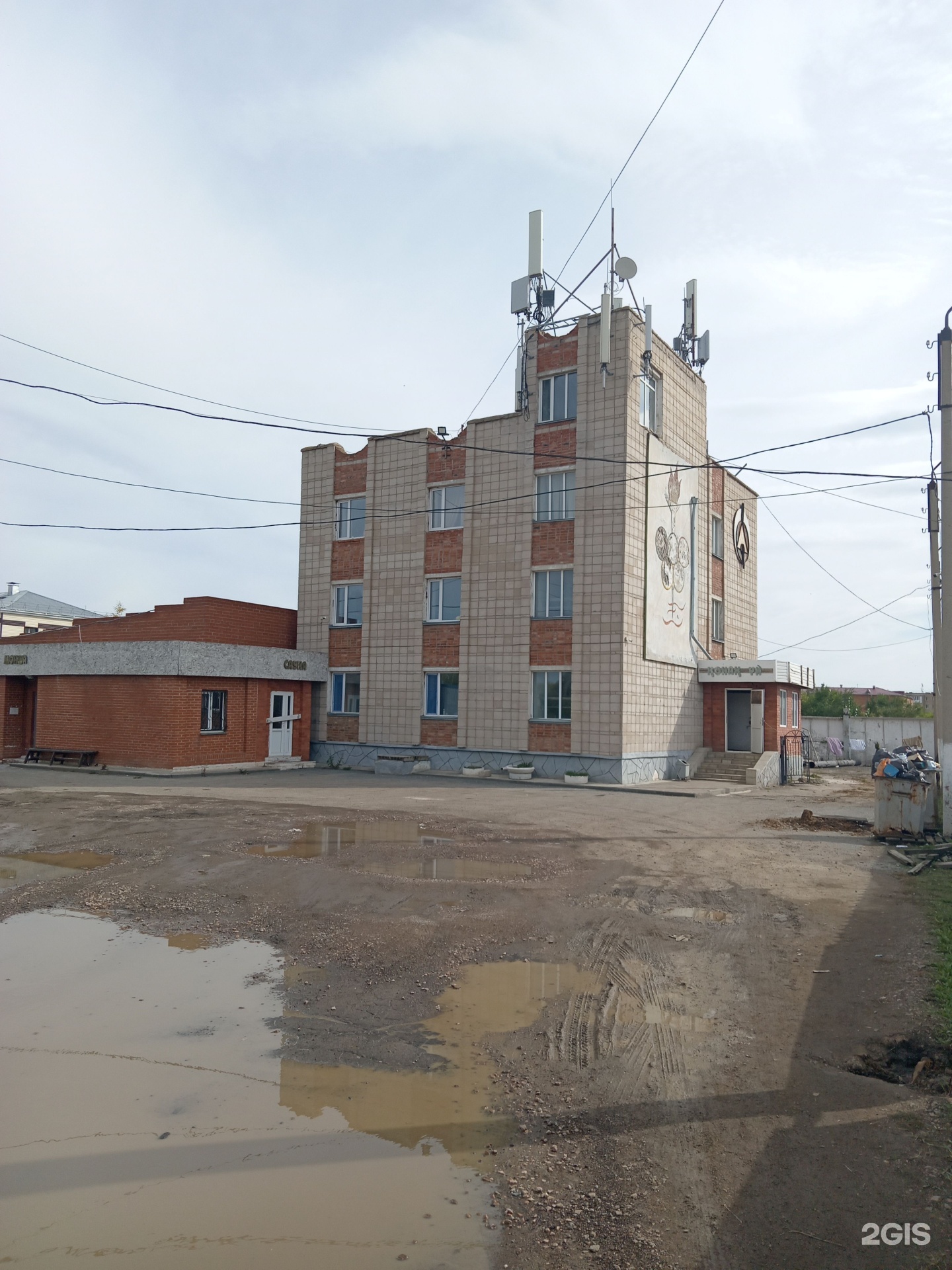 Жастар