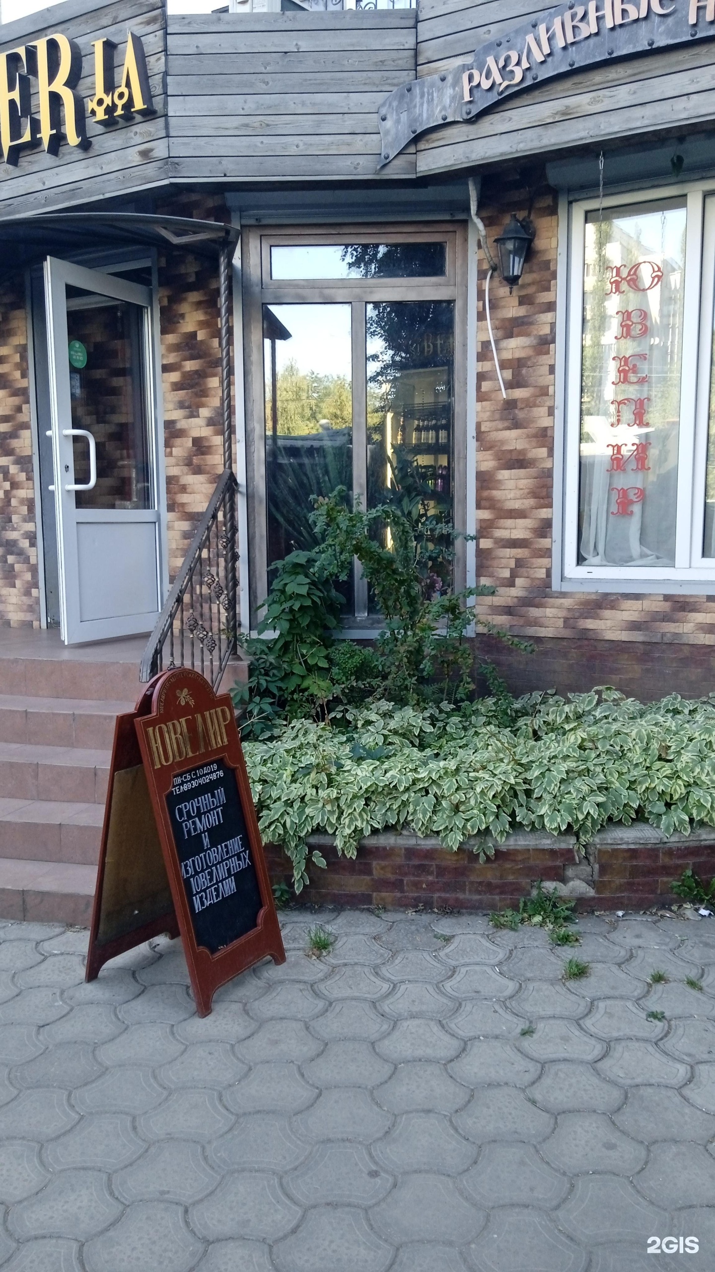 Барбарис