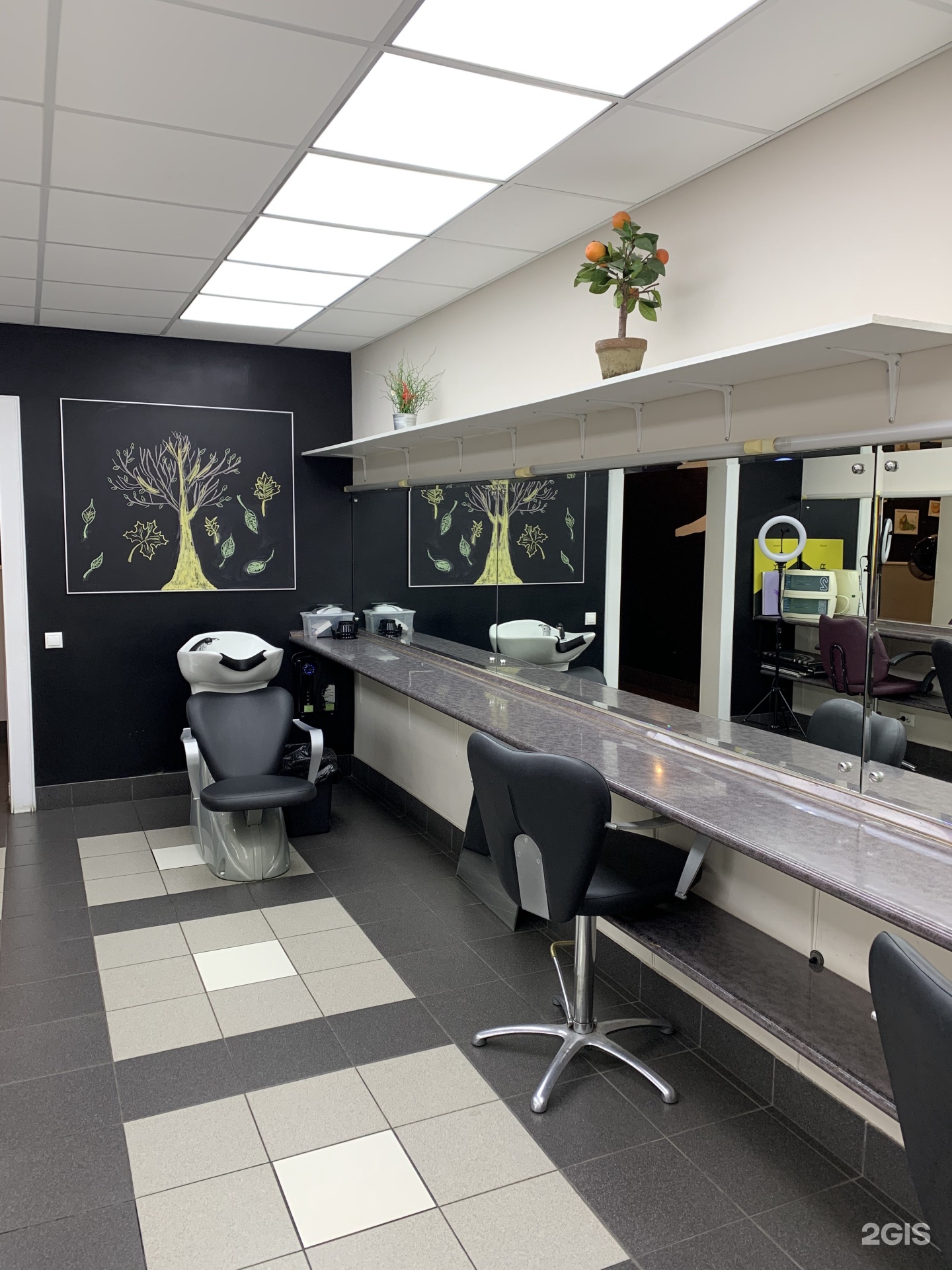 Изображение организации