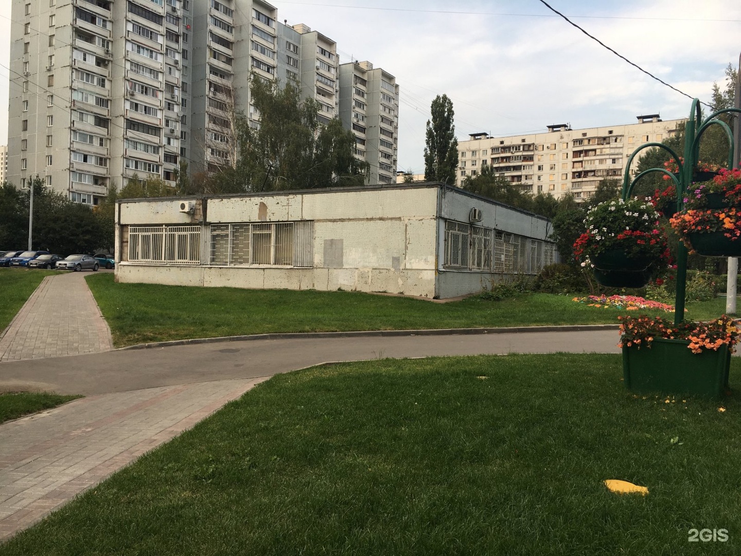 Изображение организации