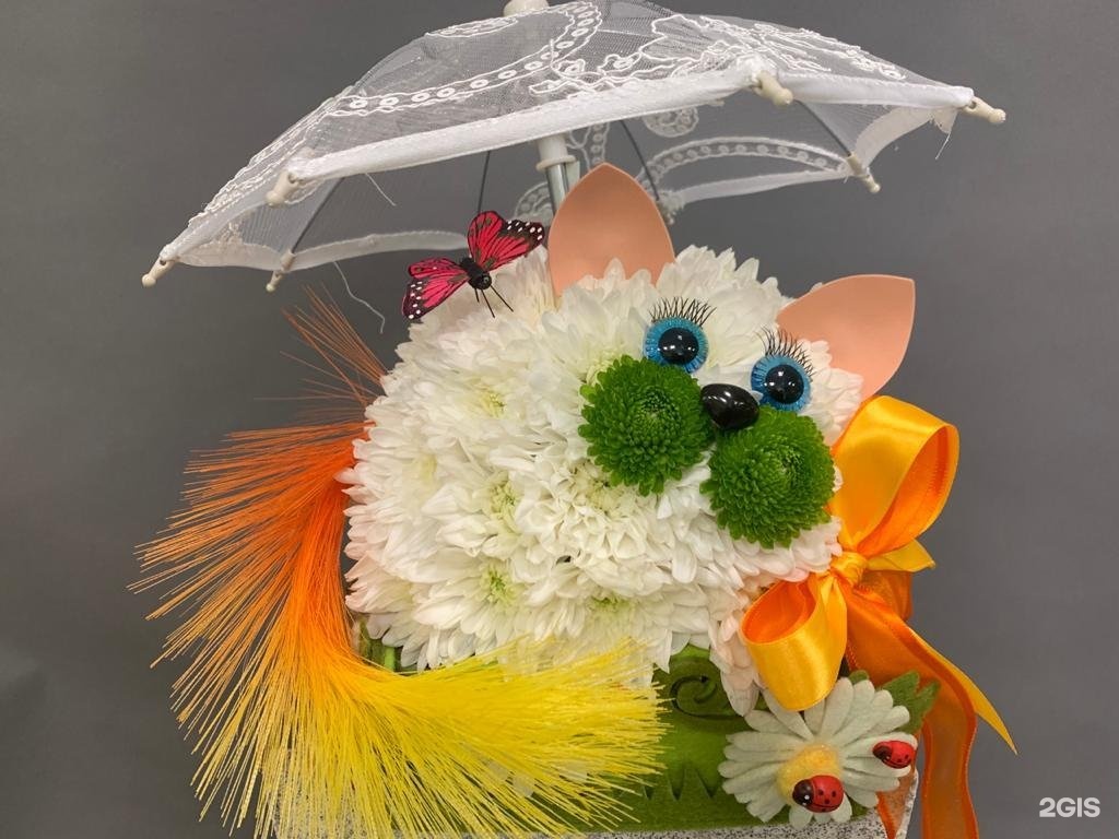 Изображение организации