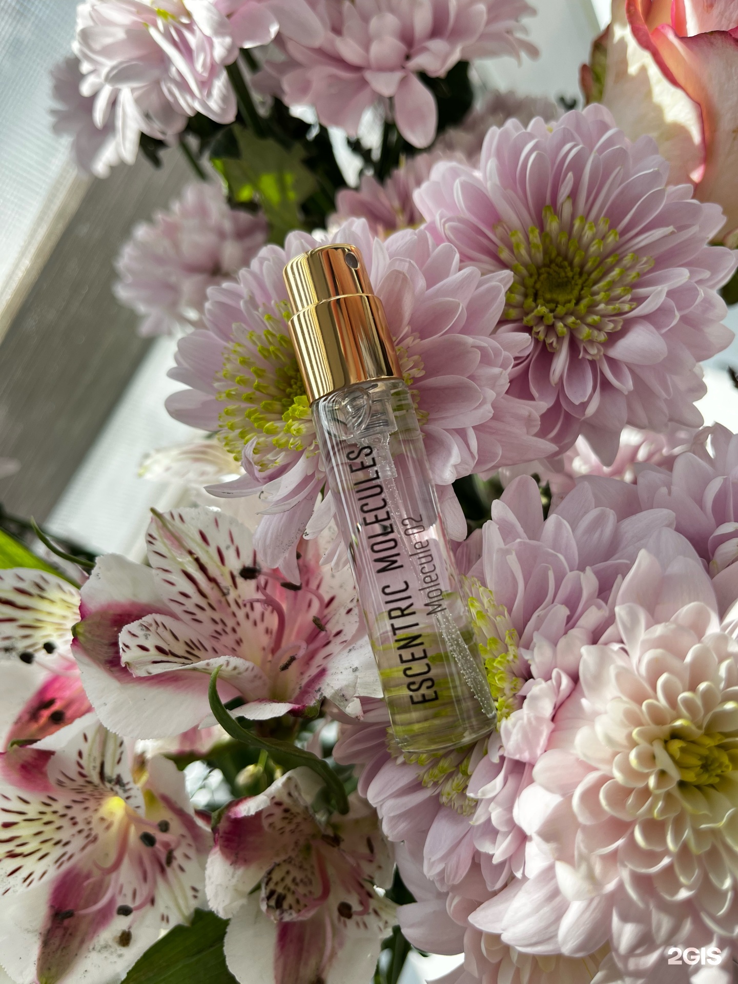 Изображение организации