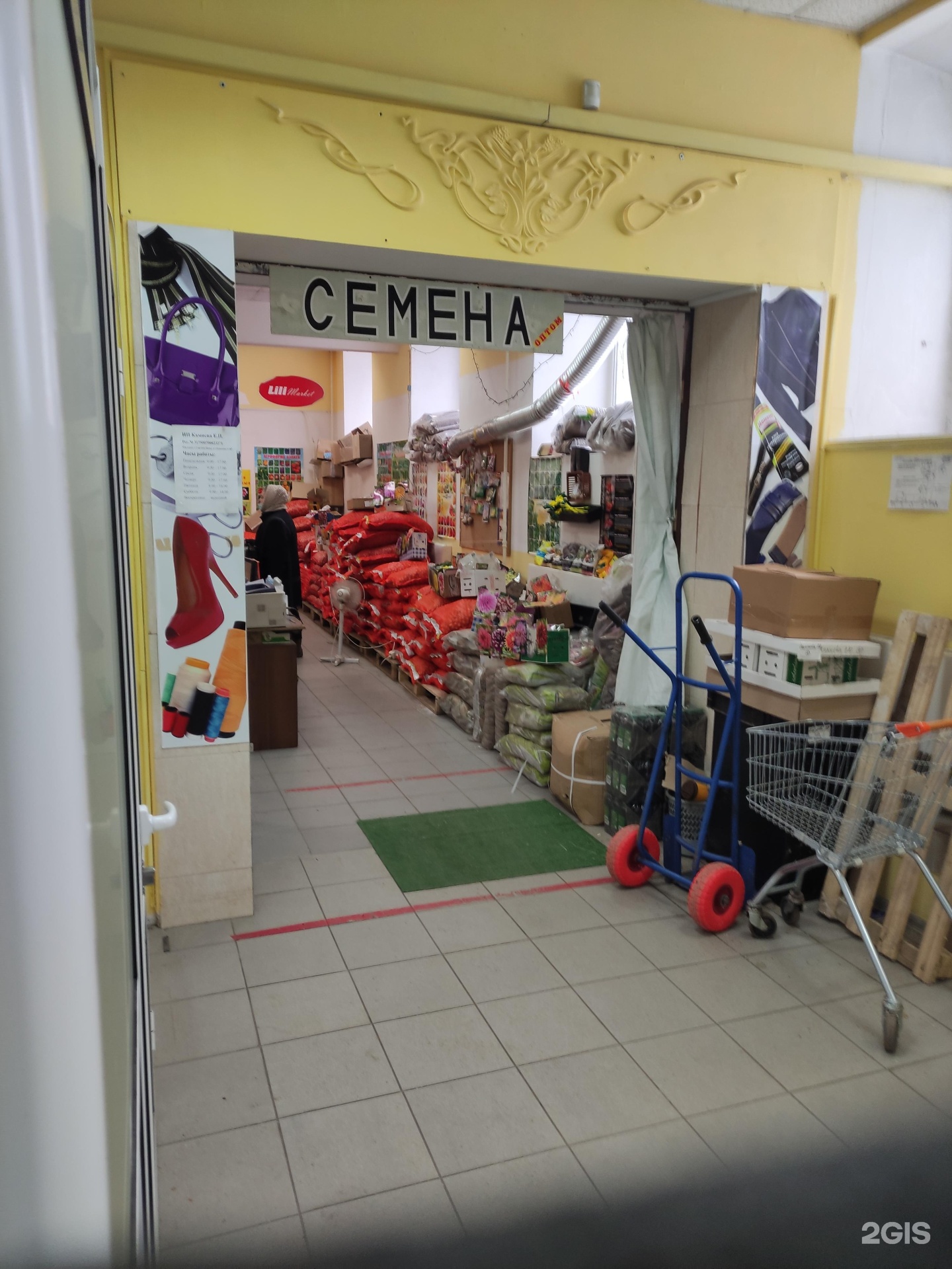 Изображение организации