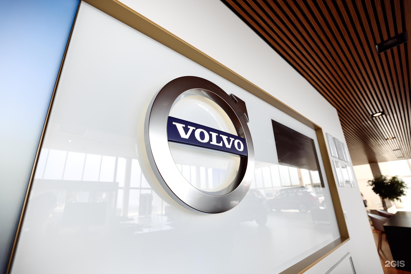 Изображение организации