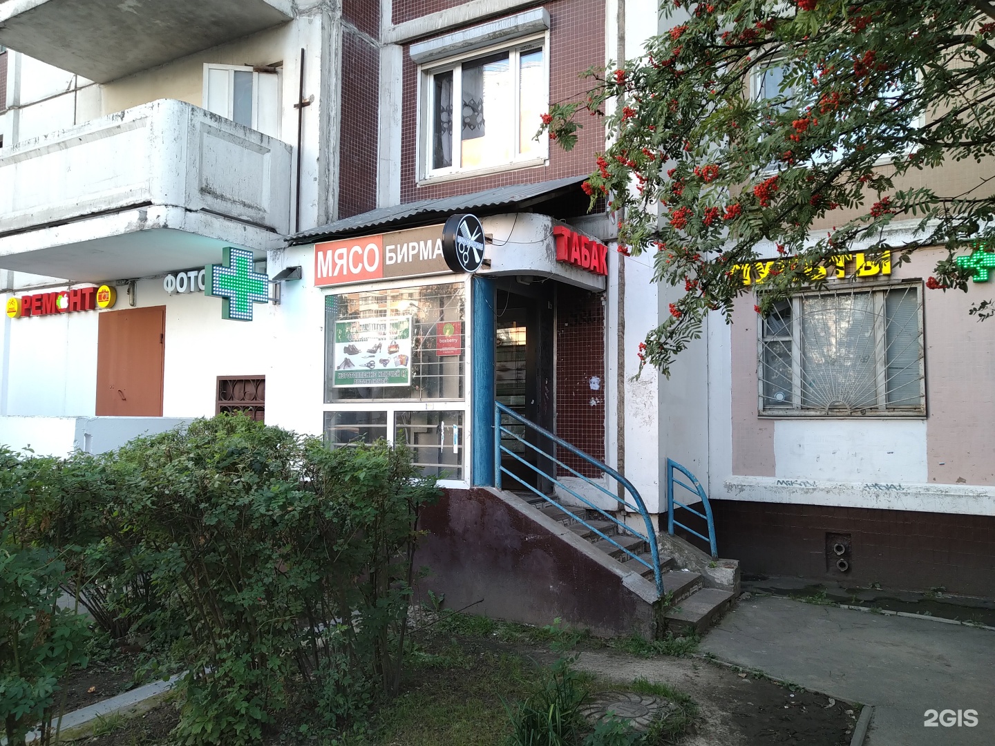 Изображение организации
