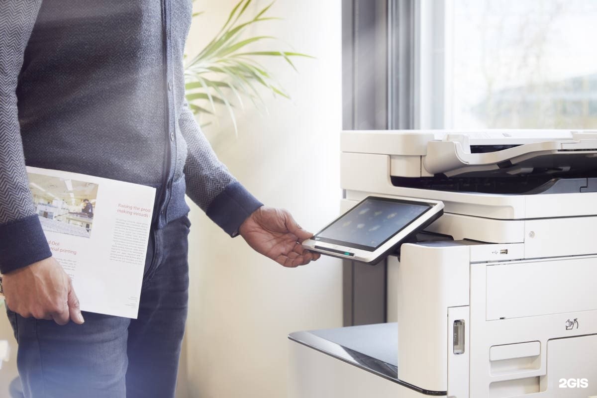 Изображение организации