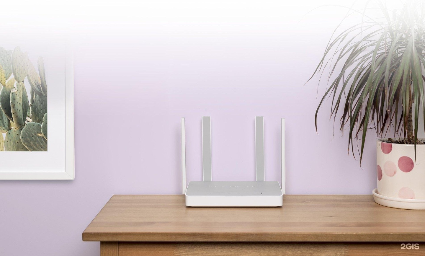 Изображение организации