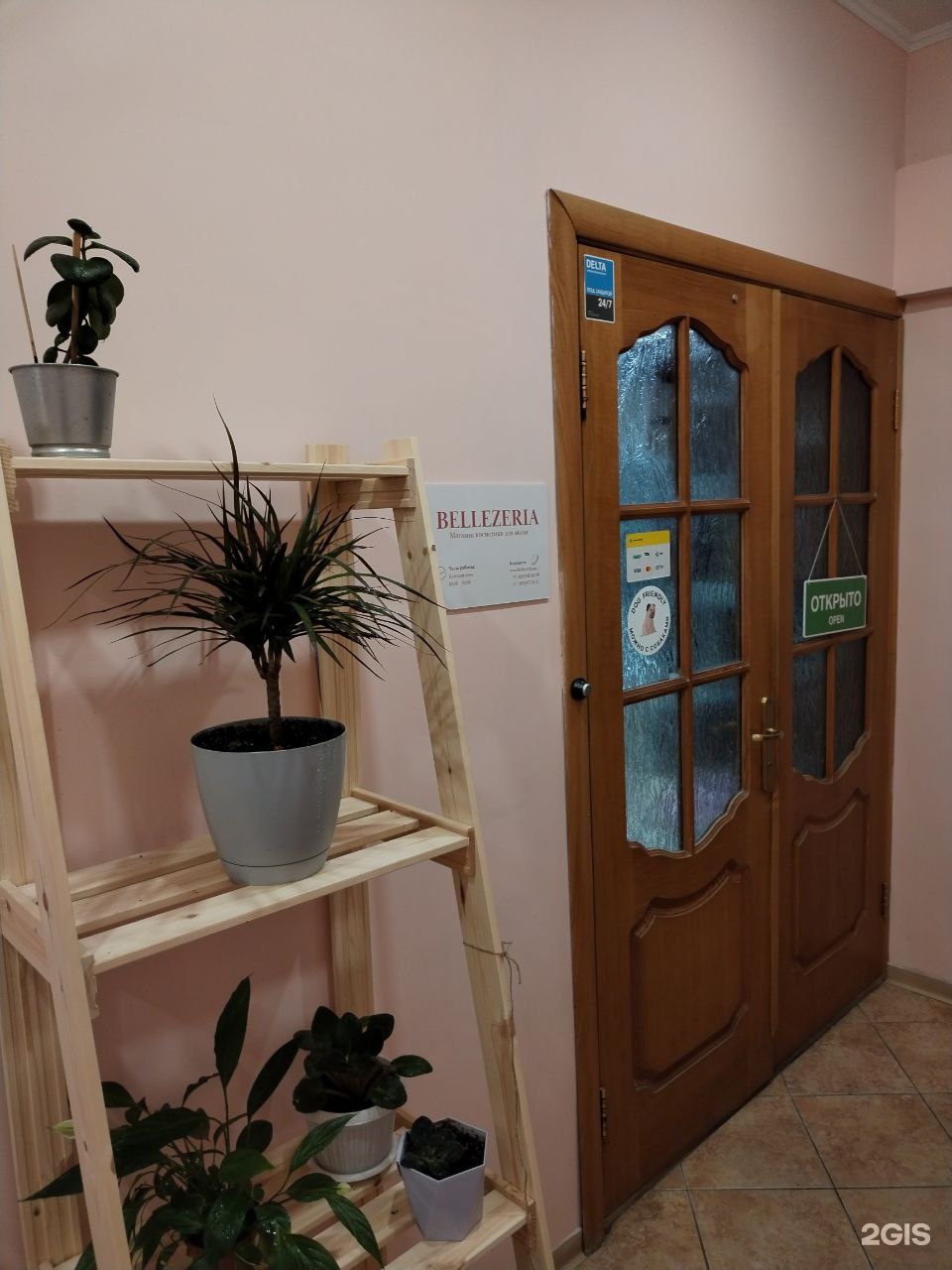 Изображение организации