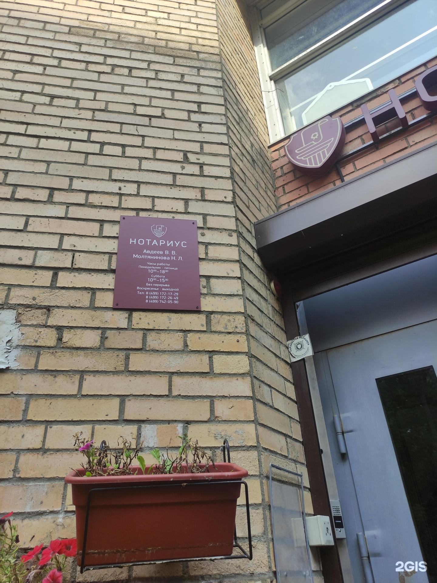 Изображение организации