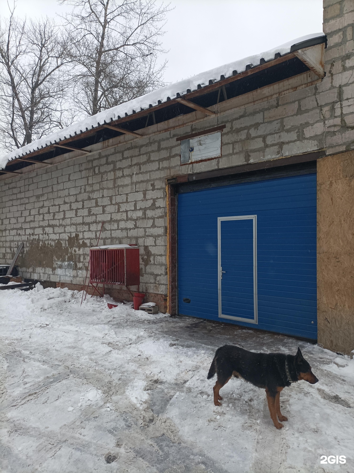 Изображение организации