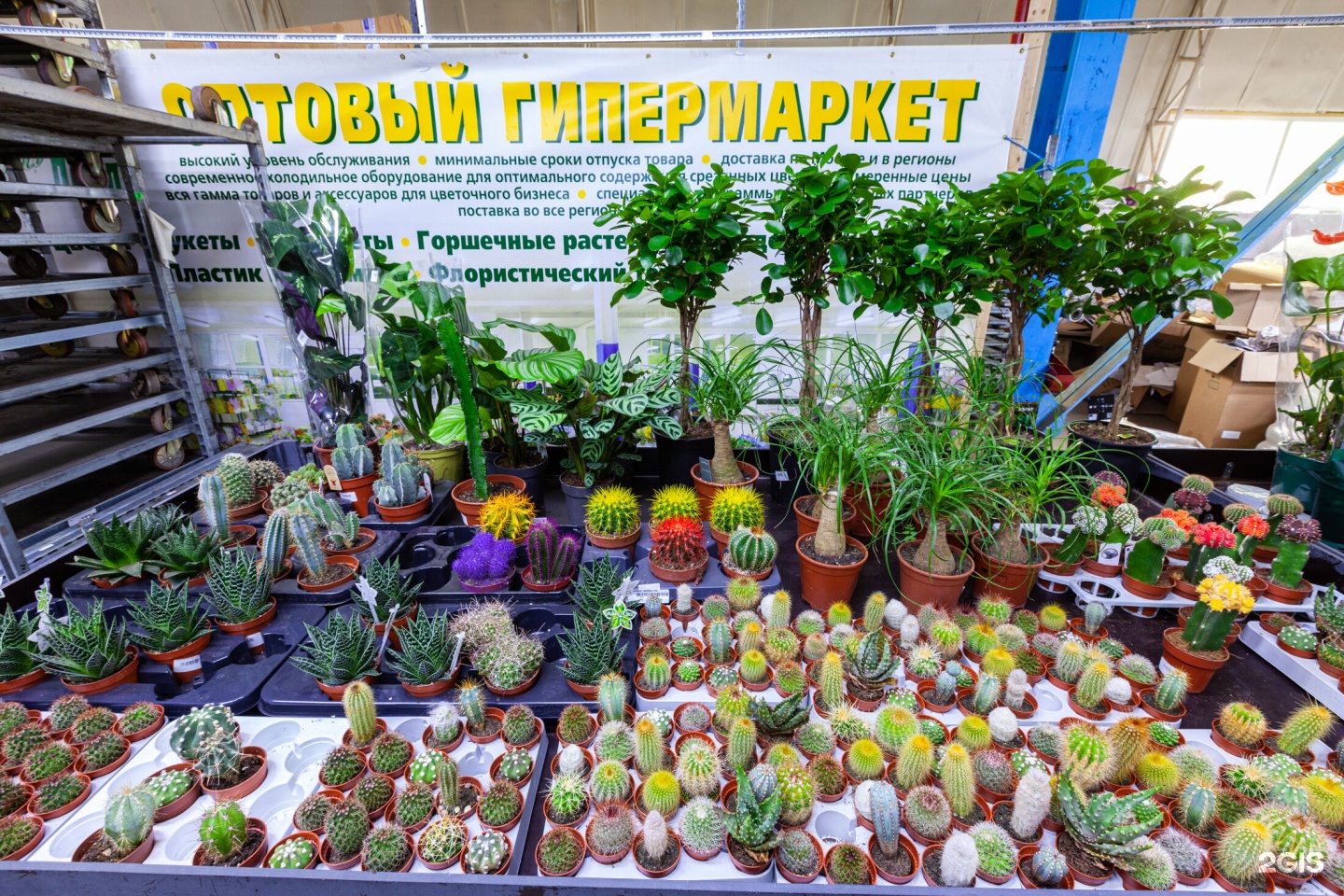 Изображение организации