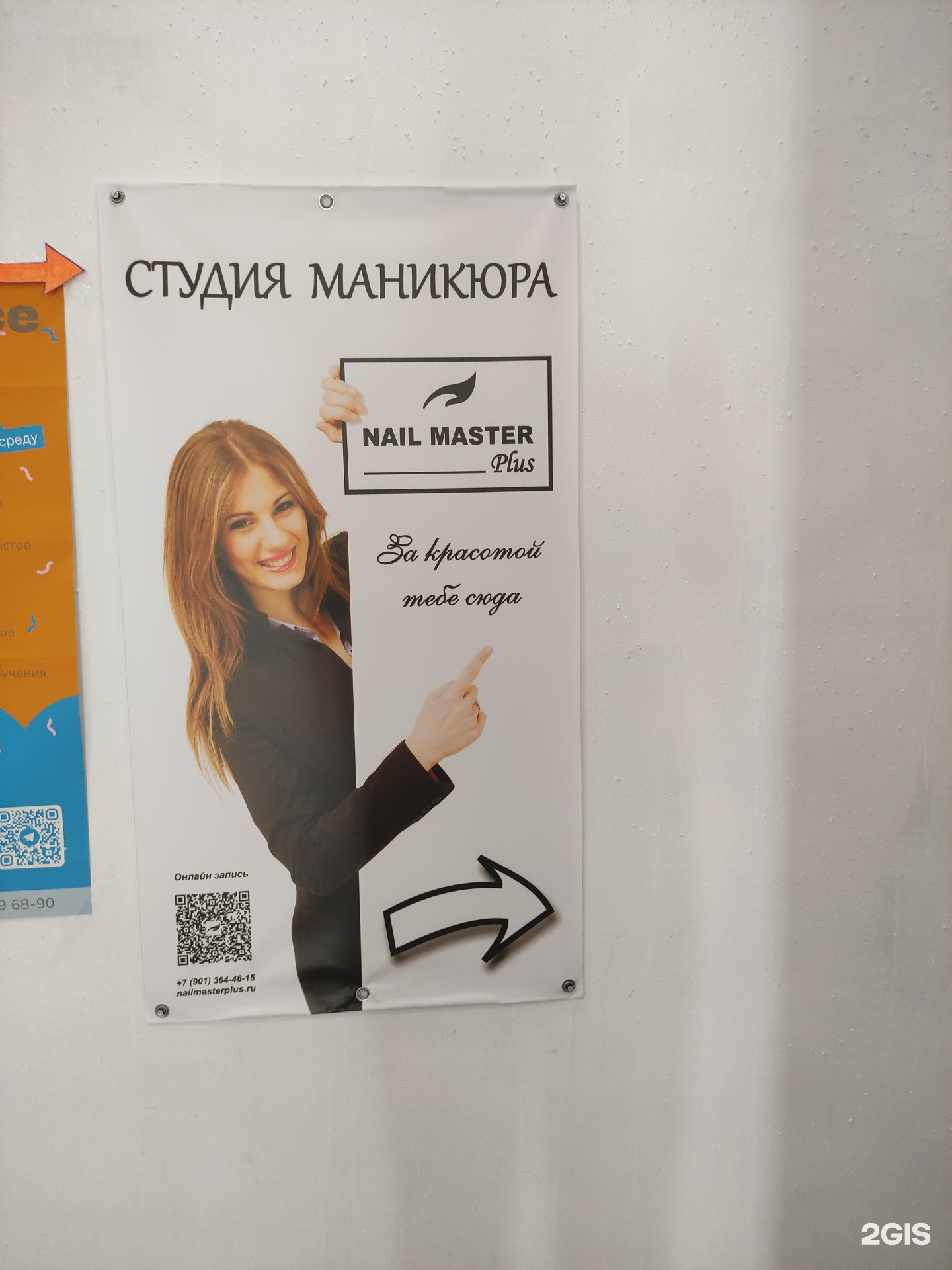 Изображение организации