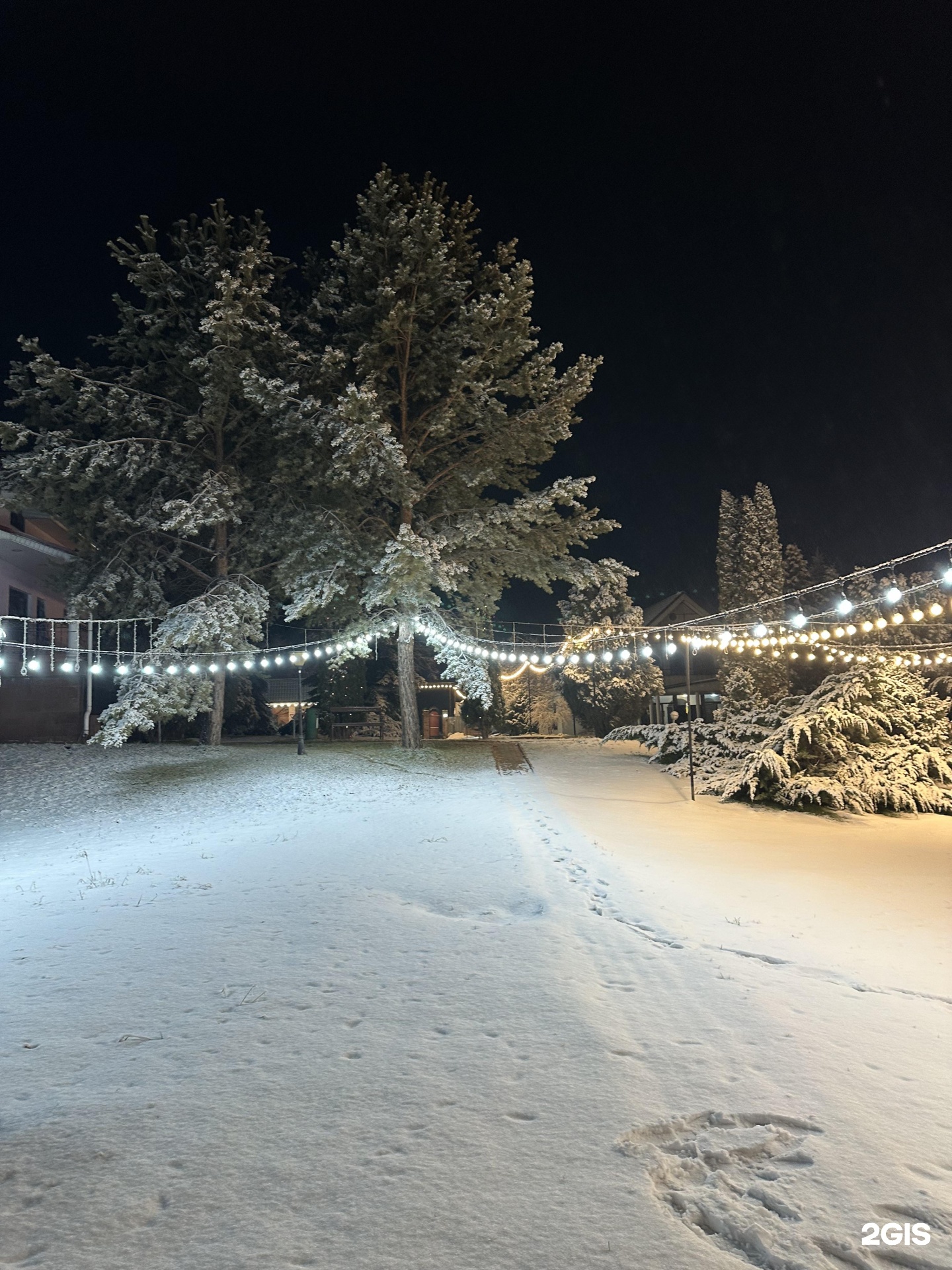 Alshy Resort