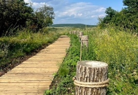 Глэмпинг Высота 63 метра над уровнем моря в Самарской области