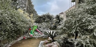 Адлер: Гостевой дом Гриф