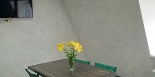 Павловский: Отель Павловский