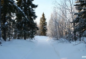 Турбаза Кускас в Мурманской области