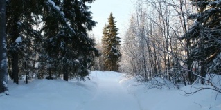 Апатиты городской округ: Турбаза Кускас