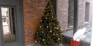 Выборг: Отель Маяк