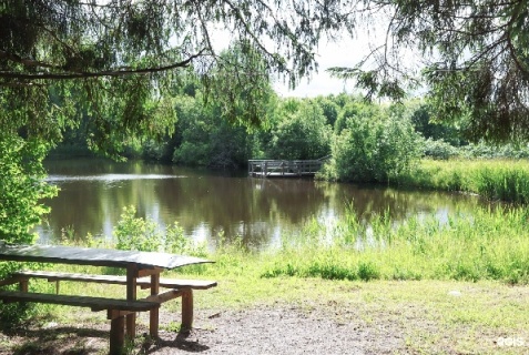 Новое: Отель Maxrooms дача Левитана под Плёсом