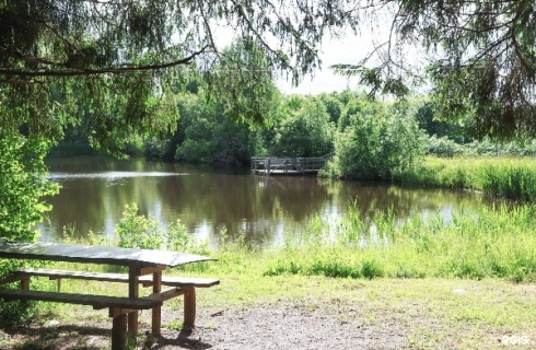 с. Новое: Отель Maxrooms дача Левитана под Плёсом