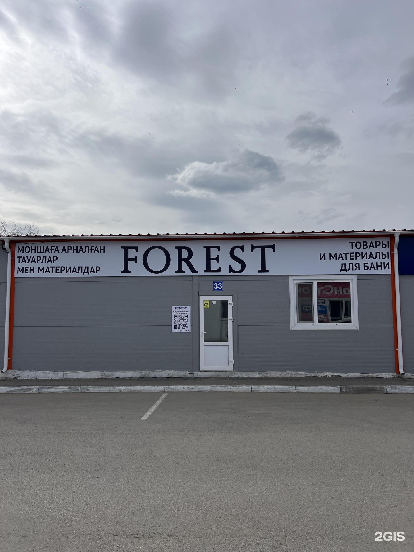 Forest