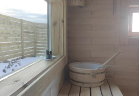 Коттедж Мятлик house в Алтайском крае