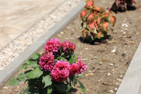 Амзара: Отель Вилла Абхазия