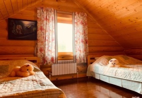 Турбаза Сокольский бор в Вологодской области