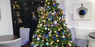 Санкт-Петербург: Отель A`capella hotel