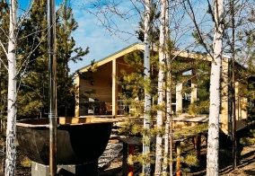 Апартаменты Delfin house в Тюменской области